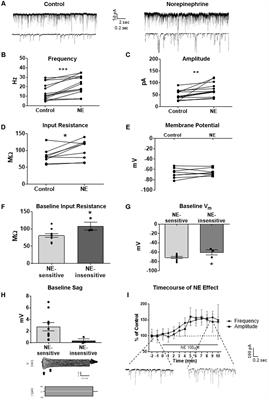 Interaction of Norepinephrine and Glucocorticoids Modulate Inhibition of Principle Cells of Layer II Medial Entorhinal Cortex in Male Mice